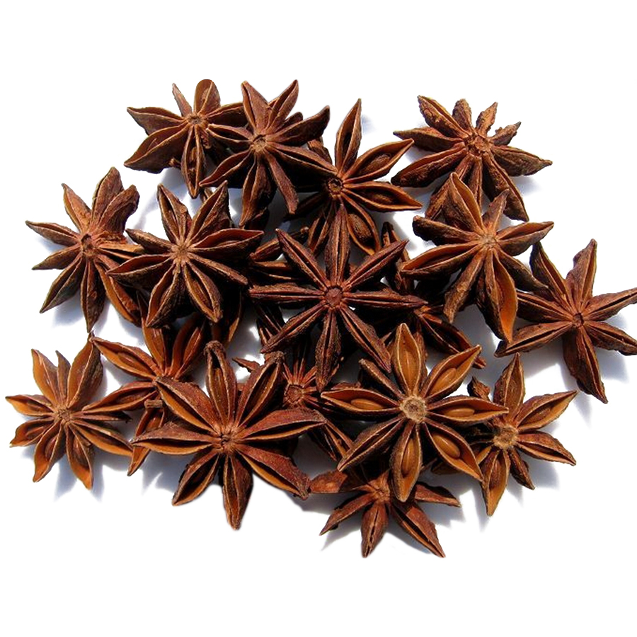 spice-star-anise-2