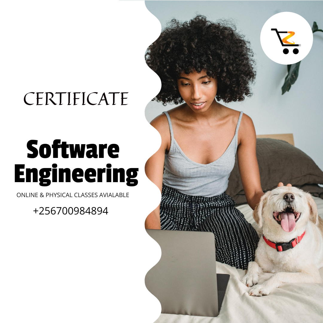Learn Software Engineering